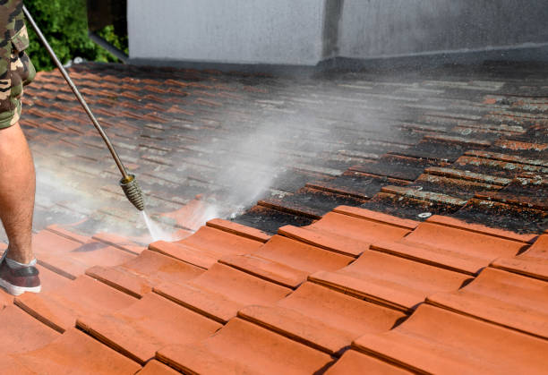 Best Pressure Washing Company Near Me  in Leland Grove, IL