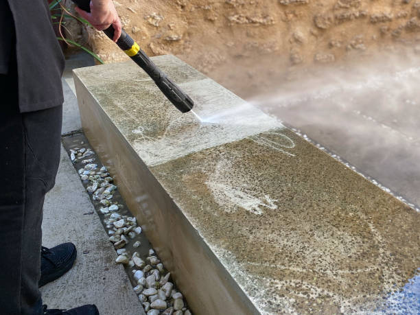 Best Roof Power Washing Services  in Leland Grove, IL