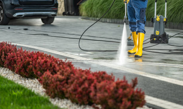 Best Residential Pressure Washing Services  in Leland Grove, IL