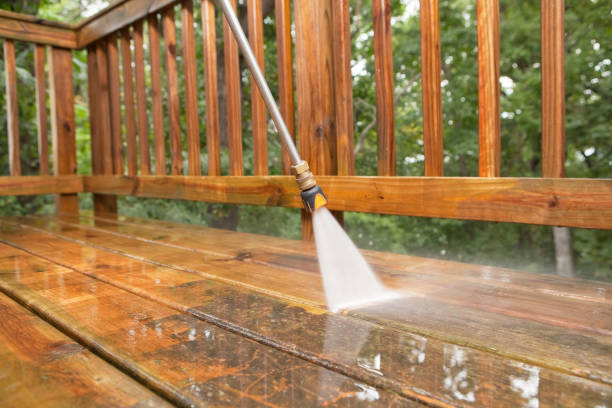 Best Fence Pressure Washing  in Leland Grove, IL