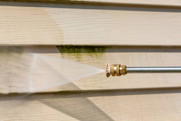 Best Affordable Pressure Washing  in Leland Grove, IL