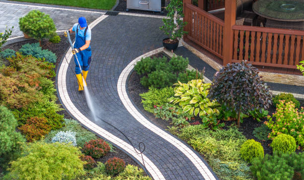 Best Pressure Washing Services Near Me  in Leland Grove, IL