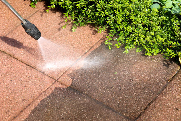 Best Best Pressure Washing Companies  in Leland Grove, IL