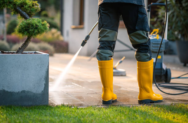 Best Affordable Power Washing  in Leland Grove, IL